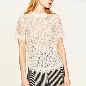 Zara Basic Sheer Lace Button Up Back Blouse